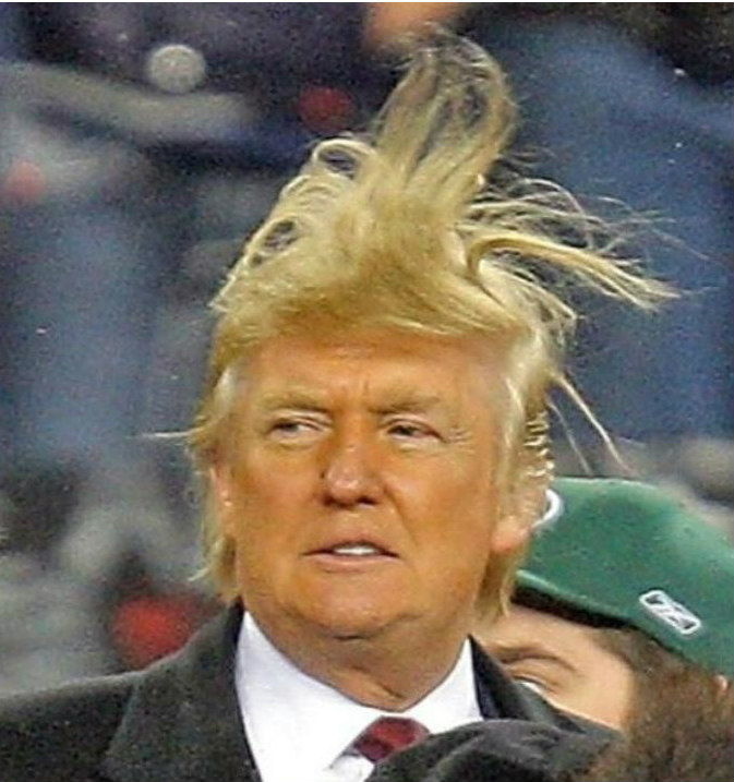 trump-wild-hair-image-from-fark-com-2