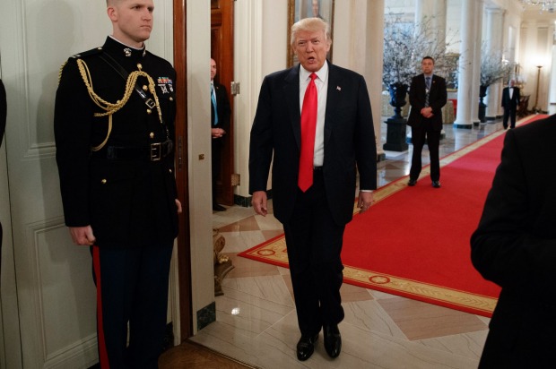 Trump Long Tie